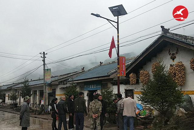 四川凉山特色led太阳能路灯