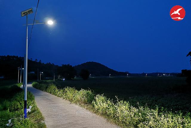 广东太阳能路灯厂家