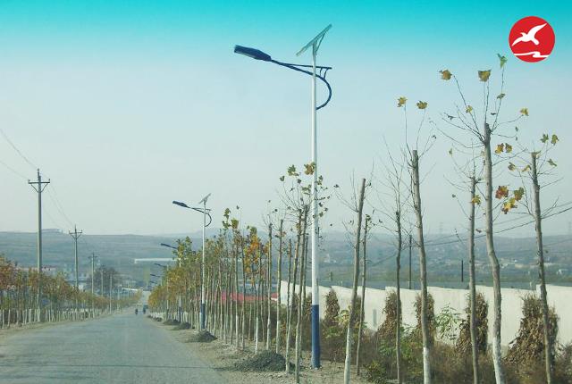 新农村太阳能路灯生产厂家