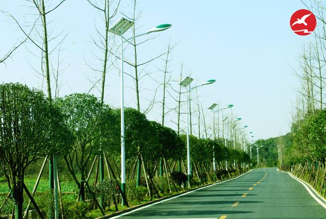 乡村太阳能路灯