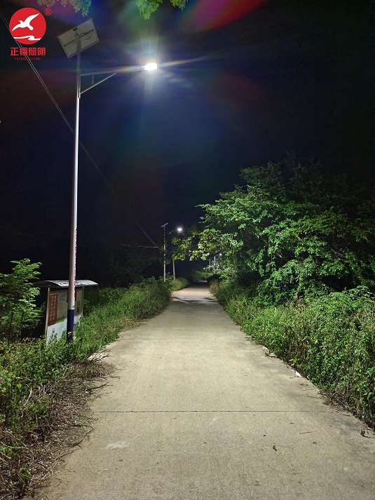广西桂平乡村太阳能路灯安装