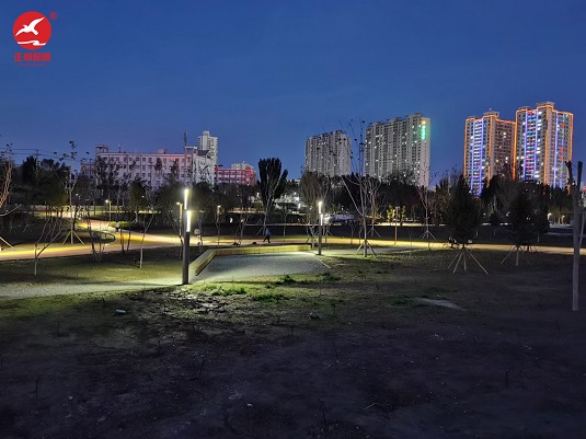 新疆哈密市伊州区公园景观灯