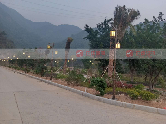  广东清远园林景观庭院灯