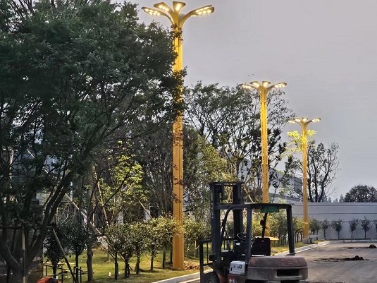 浙江湖州市政玉兰灯安装工程项目