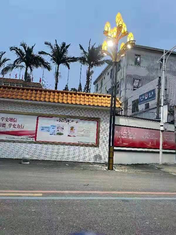 尹丽艳-广东-汕尾-陆丰市-潭西-BO202111220012 -市电路灯 (3)