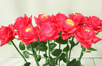 LED芦苇灯-正翔9202应用图 (4)