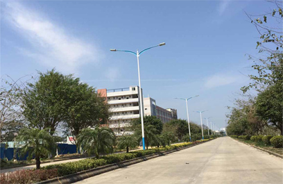 LED 路灯—正翔2402应用图1 (1)