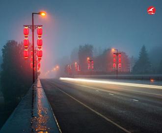 LED中国结路灯 正翔1202应用图3