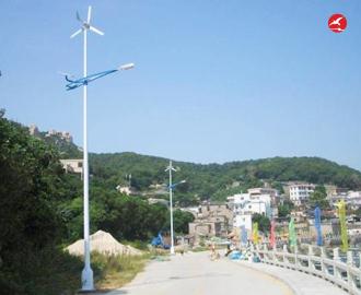 太阳能风光互补路灯 正翔2303应用图3