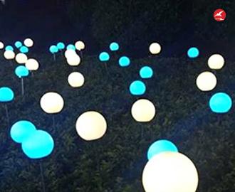LED芦苇灯 正翔9201应用图2