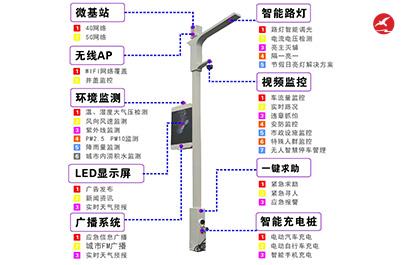 智慧路灯ZX5401应用图1