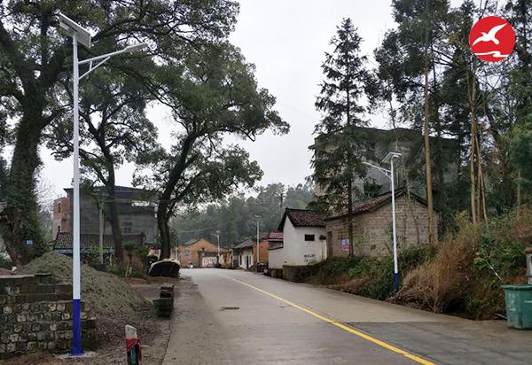 广西全州新农村太阳能路灯