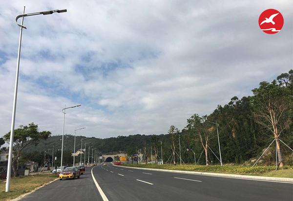 珠海金湾机场西路市电路灯