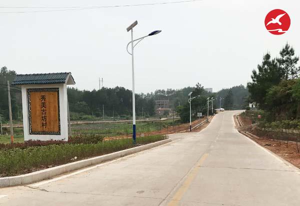 新农村太阳能led路灯厂家