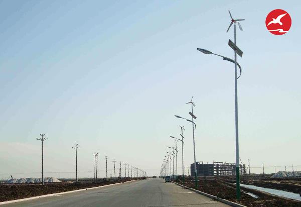 新农村太阳能风光互补led路灯