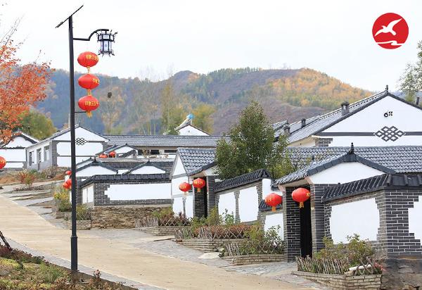 新农村太阳能路灯