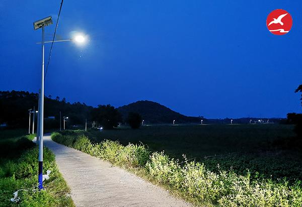 广东LED太阳能路灯厂家