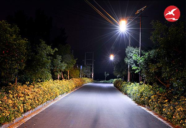 农村太阳能led路灯