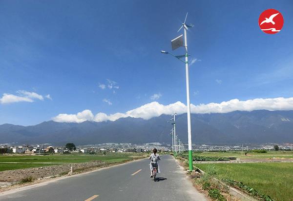 正翔太阳能风光互补路灯