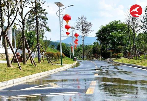 新农村太阳能路灯
