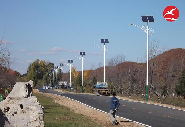 广西新农村太阳能路灯