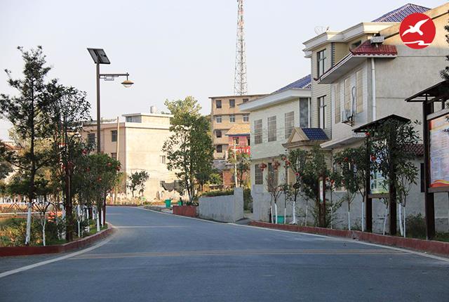 公园小区太阳能路灯 公园小区太阳能路灯