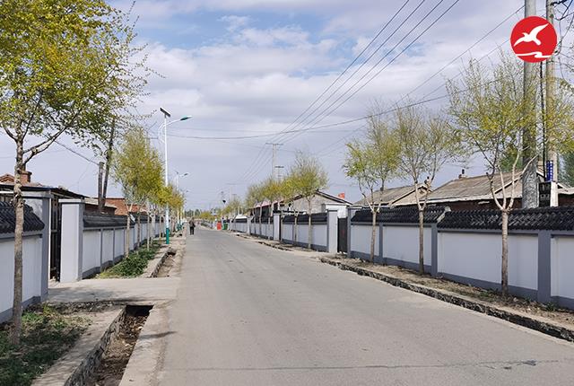 新农村太阳能路灯