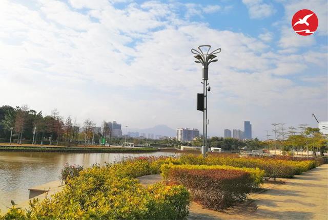 城市公园智慧路灯